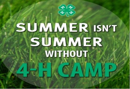 4-H Summer Camp